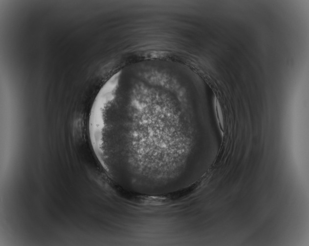 X0000082930222200703020112