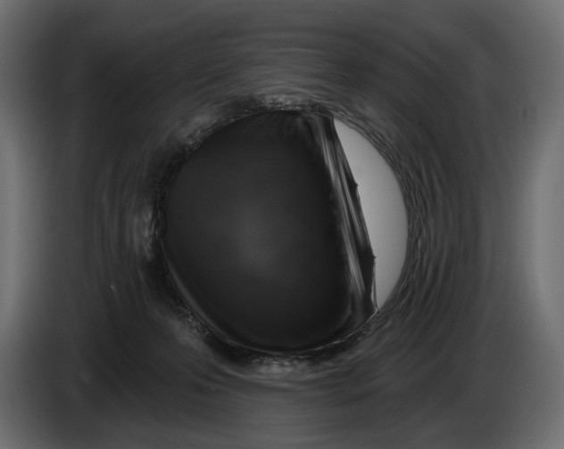 X0000082930223200703020112