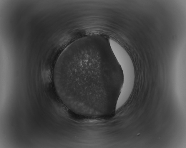 X0000082930224200703020112