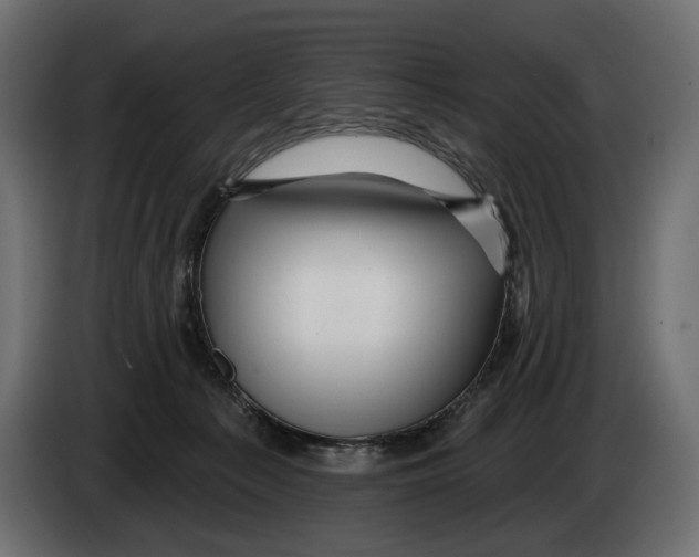 X0000082930225200703020112