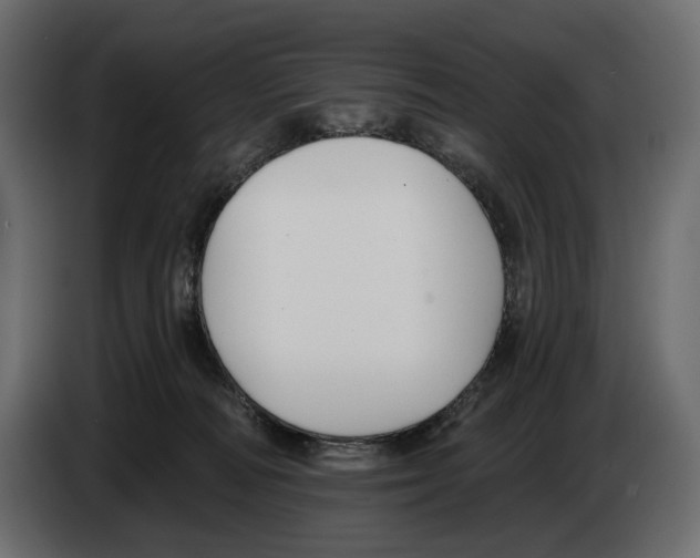 X0000082930226200703020112