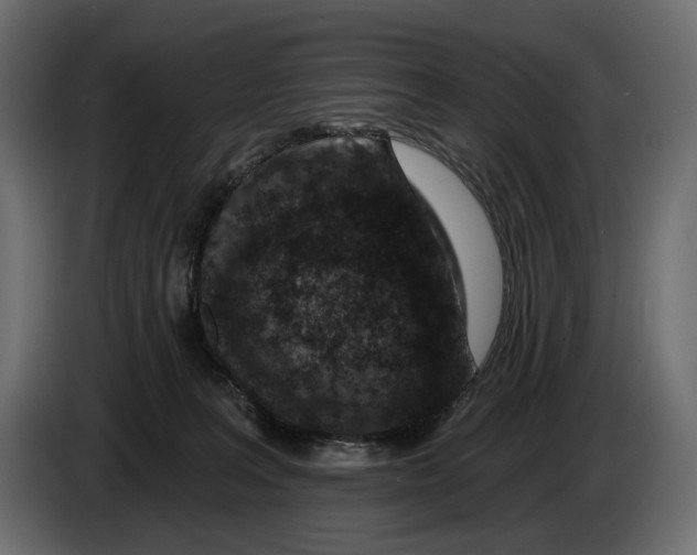 X0000082930227200703020112