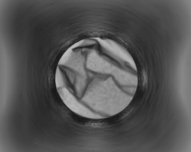 X0000082930228200703020112