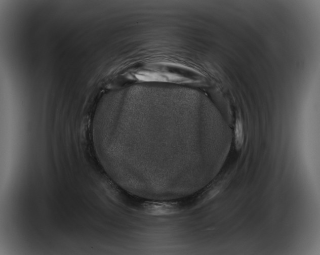 X0000082930229200703020112