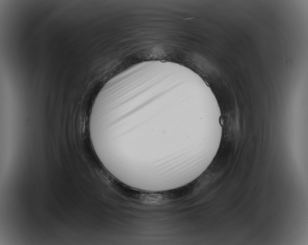 X0000082930230200703020112