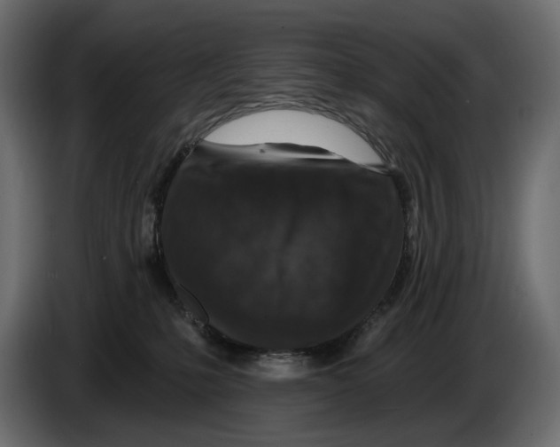 X0000082930231200703020112