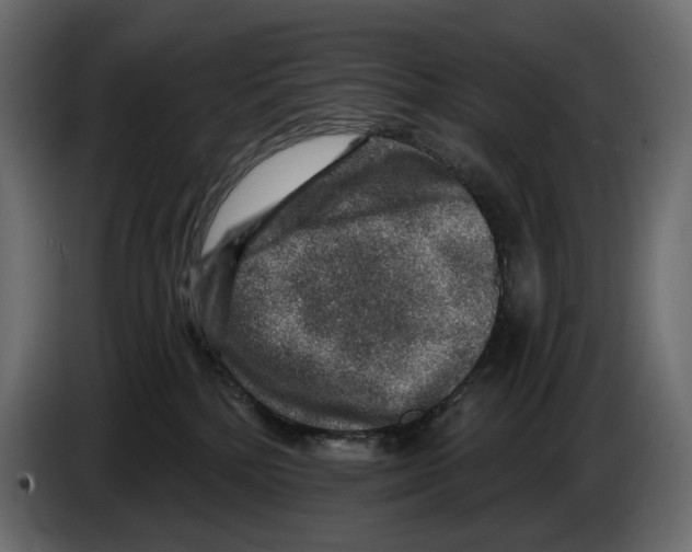 X0000082930232200703020112