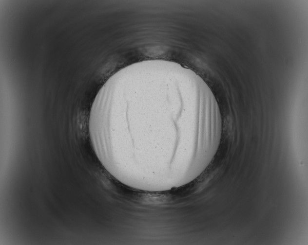 X0000082930234200703020112