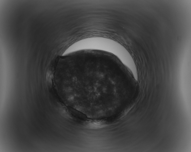 X0000082930235200703020112
