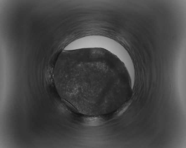 X0000082930237200703020112