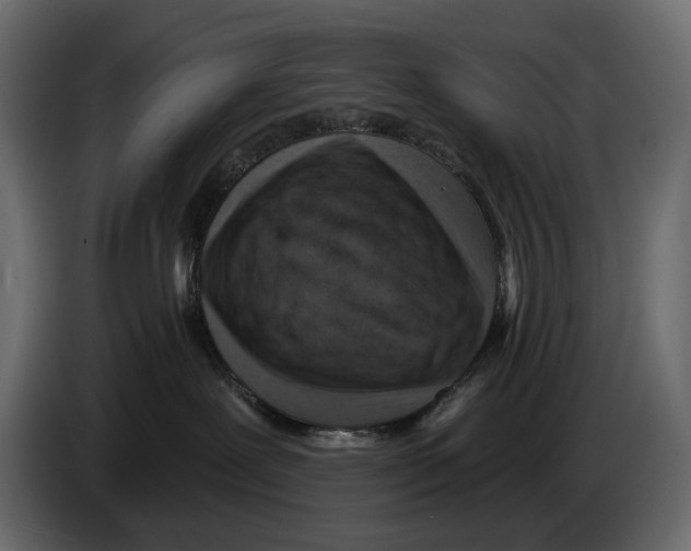 X0000082930239200703020112