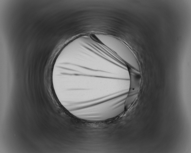 X0000082930241200703020111