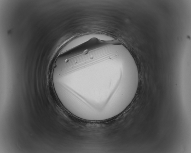 X0000082930242200703020111