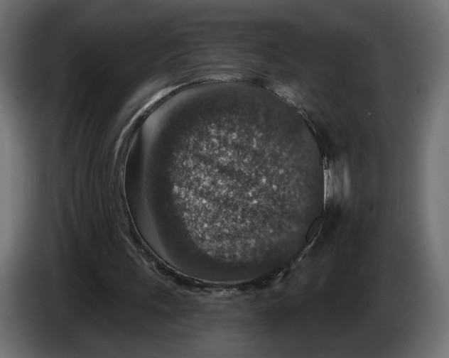 X0000082930243200703020111