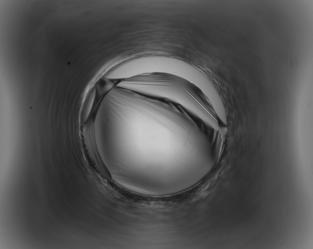 X0000082930244200703020111