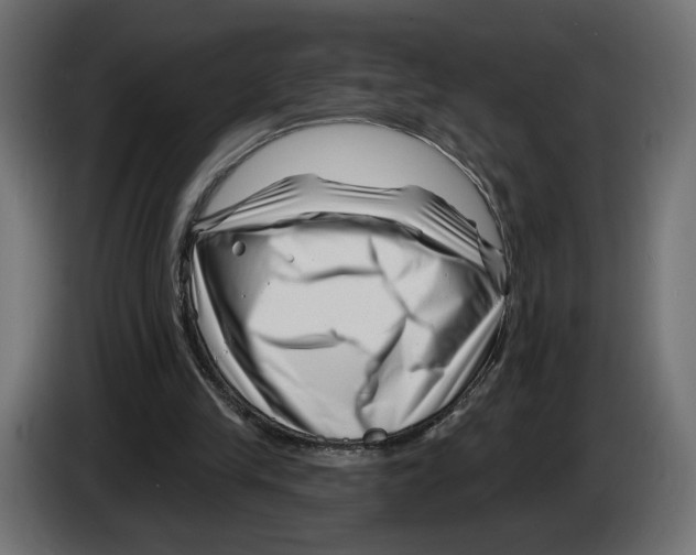 X0000082930245200703020111