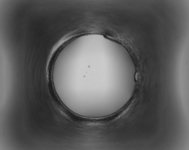 X0000082930246200703020111