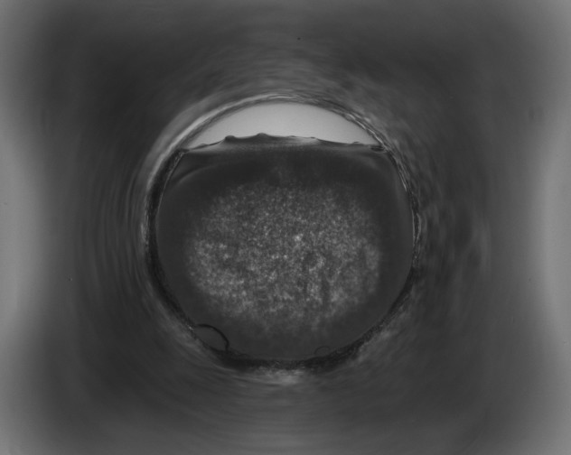 X0000082930247200703020111