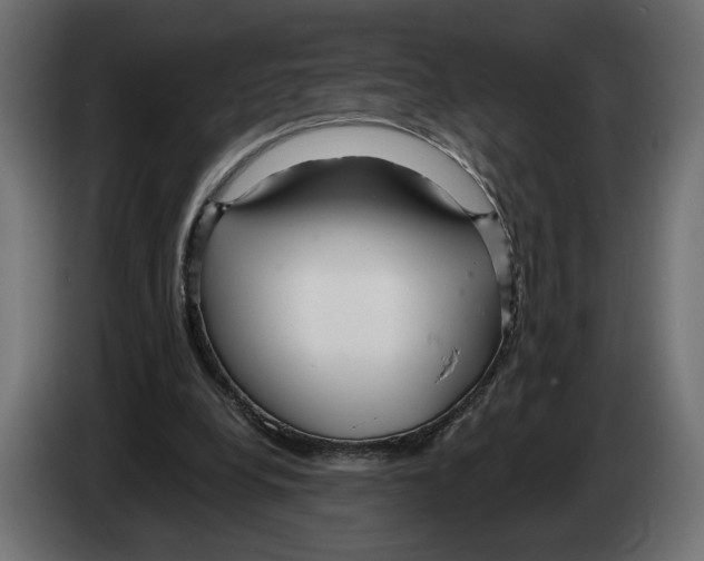 X0000082930248200703020111