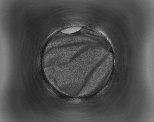 X0000082930249200703020111