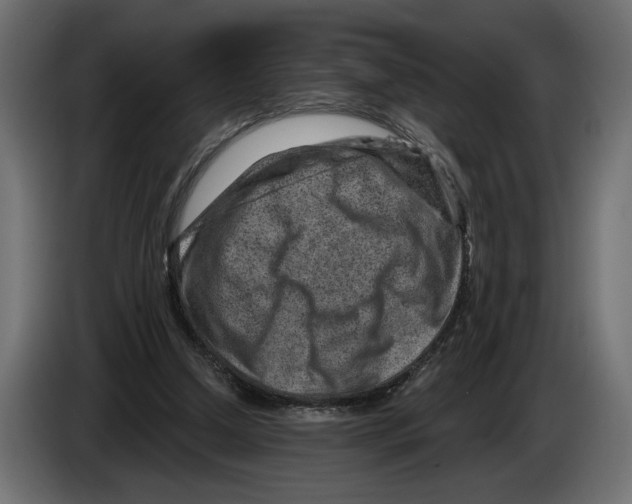 X0000082930250200703020111