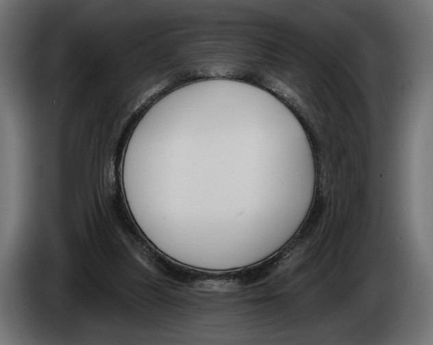 X0000082930251200703020111