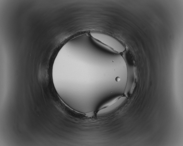 X0000082930252200703020111