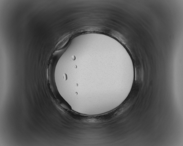 X0000082930253200703020111