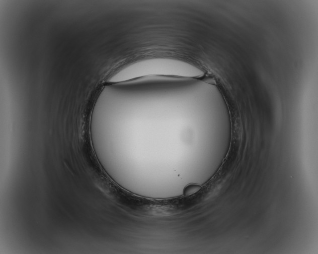 X0000082930255200703020112