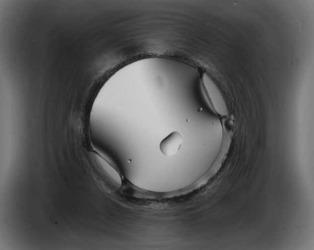 X0000082930256200703020112
