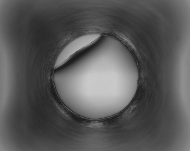 X0000082930257200703020112