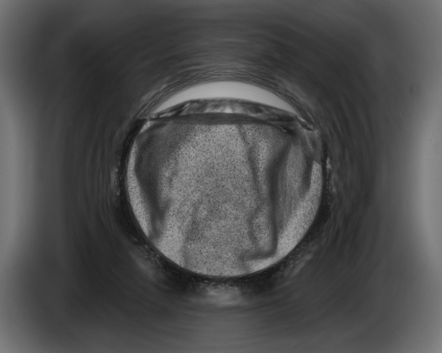X0000082930258200703020112
