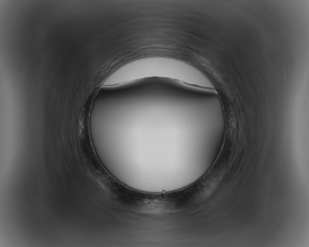 X0000082930259200703020112
