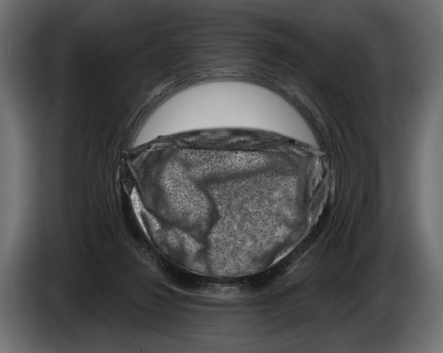 X0000082930260200703020112