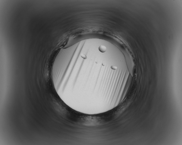 X0000082930261200703020112