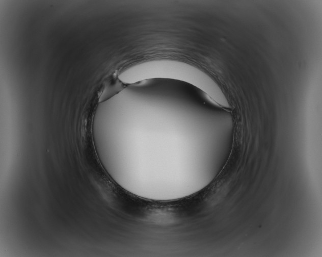 X0000082930263200703020112