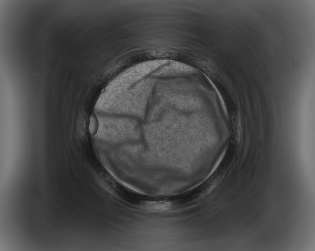 X0000082930266200703020112