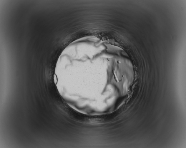 X0000082930268200703020112