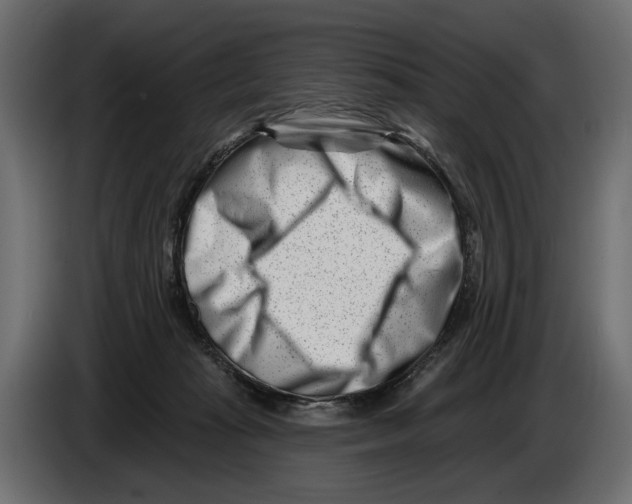 X0000082930269200703020112