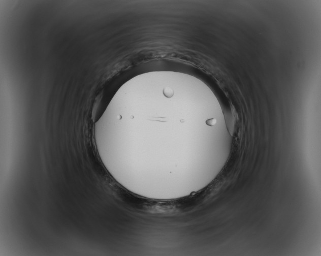 X0000082930270200703020112