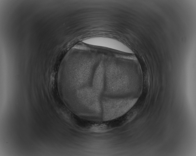 X0000082930271200703020112