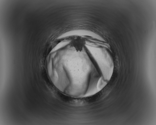 X0000082930272200703020112