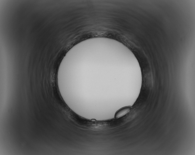 X0000082930274200703020112