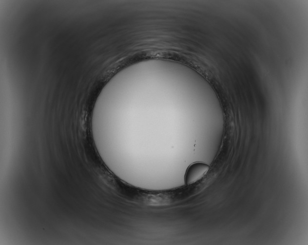 X0000082930275200703020112