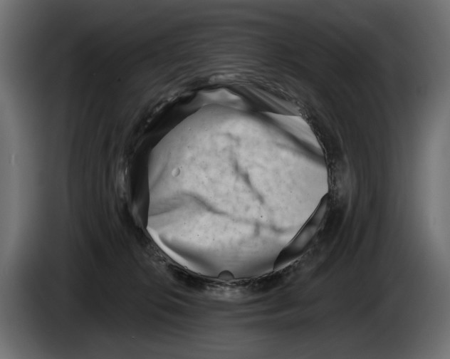 X0000082930276200703020112