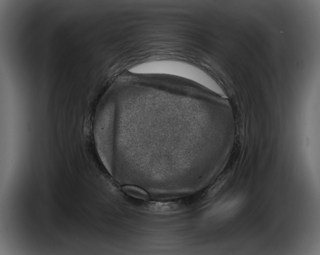 X0000082930277200703020112