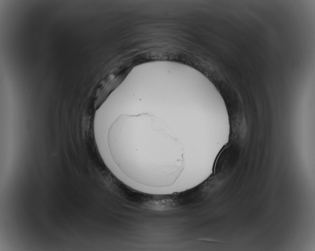 X0000082930278200703020112