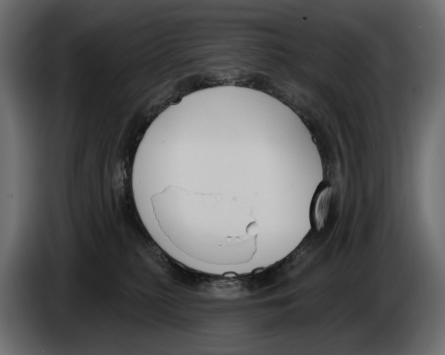 X0000082930279200703020112