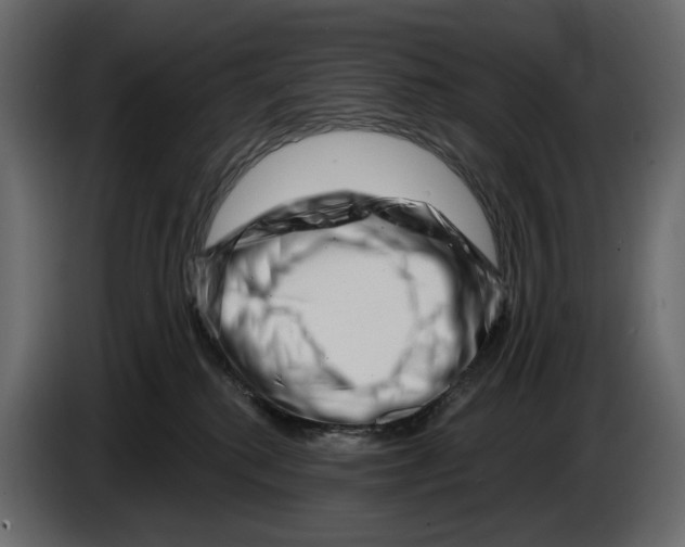 X0000082930280200703020112