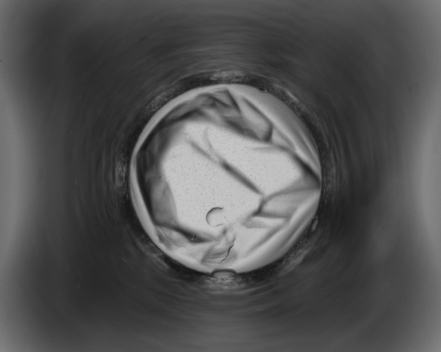 X0000082930281200703020112